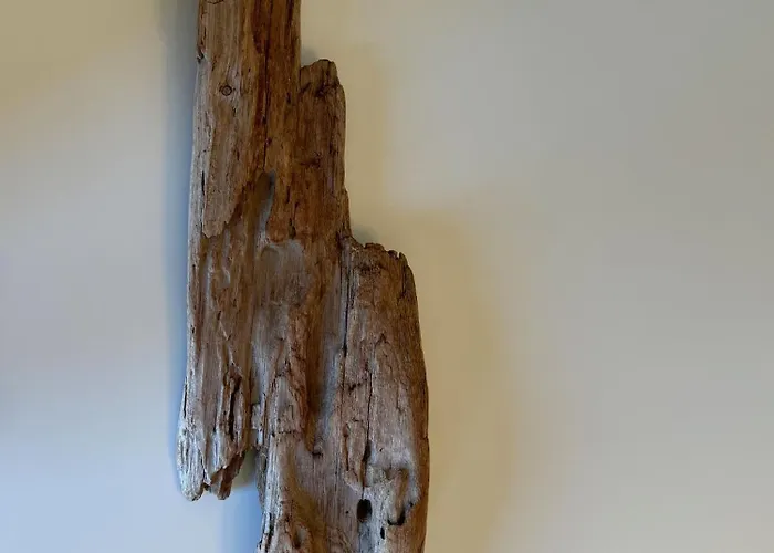 Appartement T3 Climatisé Avec Vue Piscine