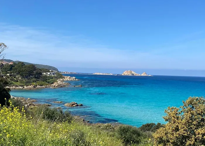 T3 Climatise Avec Vue Piscine *
